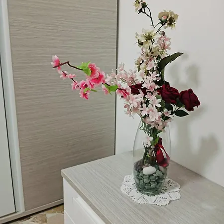 Aaron 1 马格拉